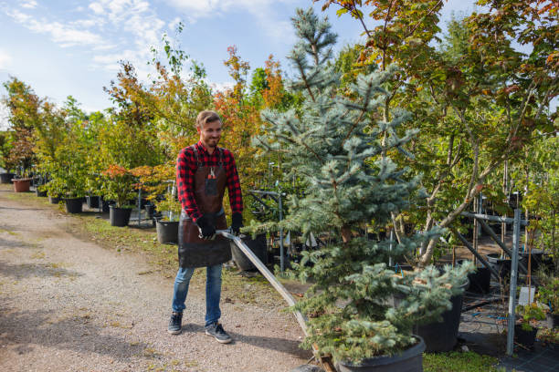 Best Lawn Grading and Leveling  in Perry, MI